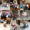 Funny Dog Cosplay Costume