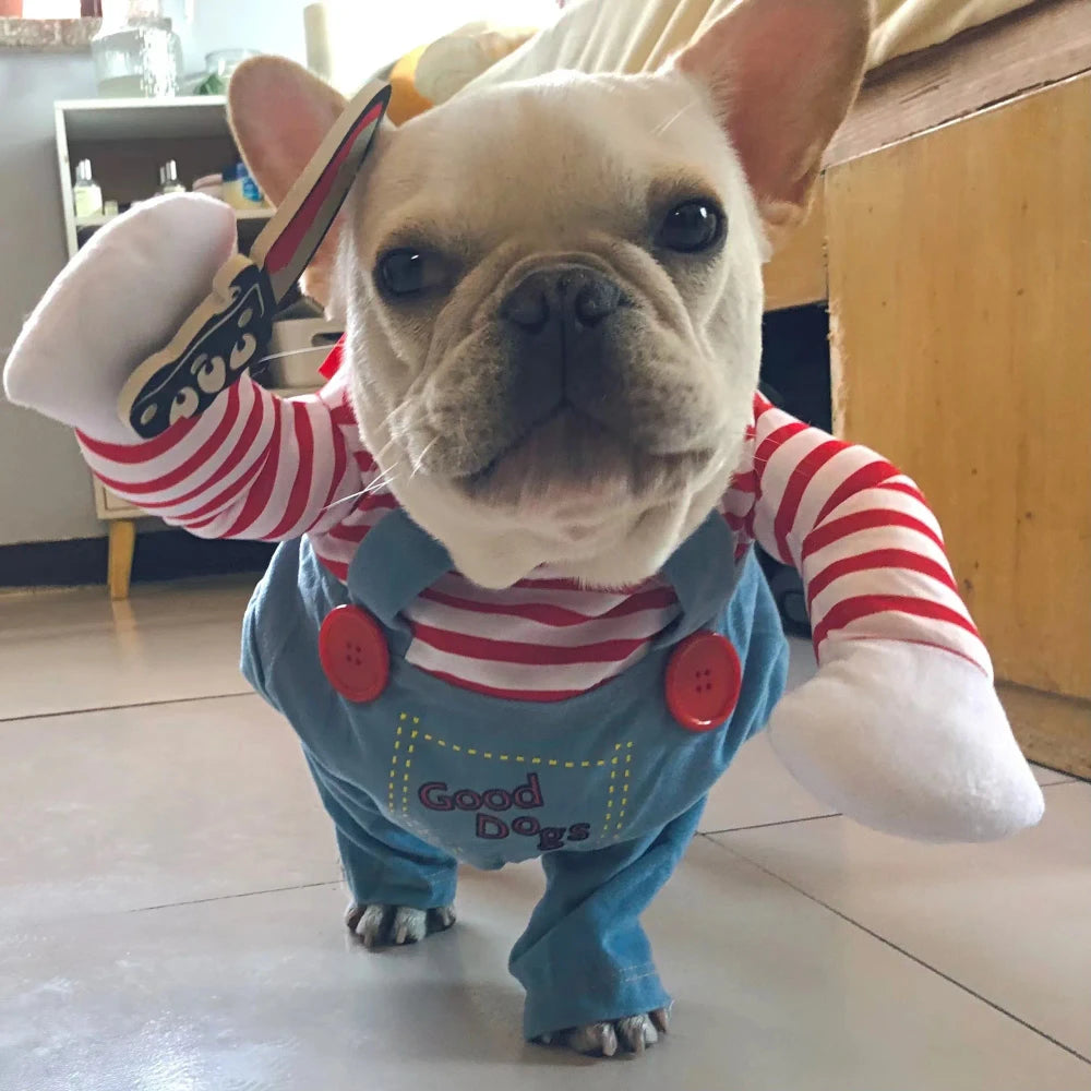 Funny Dog Cosplay Costume